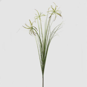 ramo-papyrus-decorativo