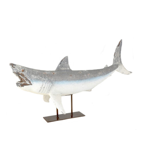 Tiburón resina