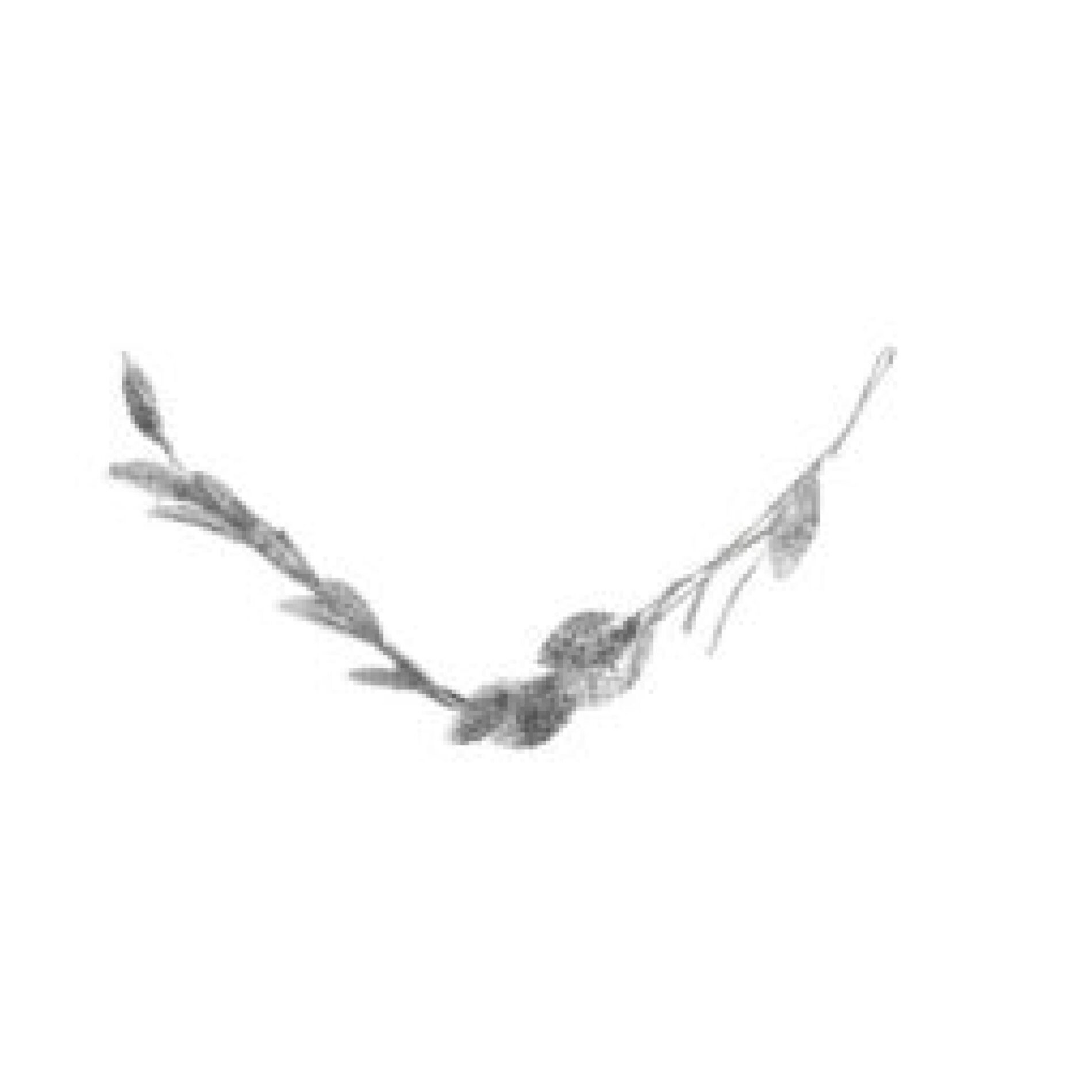 guirnalda-de-hojas-plateadas