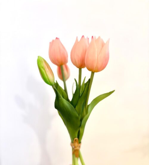 Mini Tulipán rosa peach H25