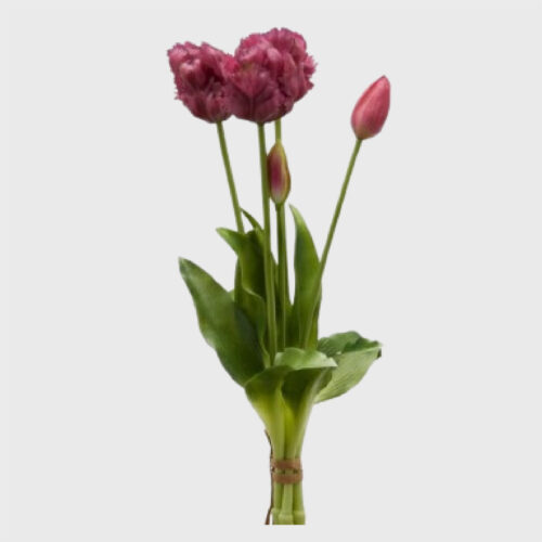 Ramo Tulipán Parrot Morado