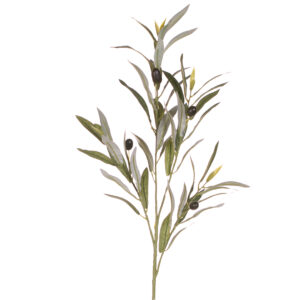 rama olivo decorativa