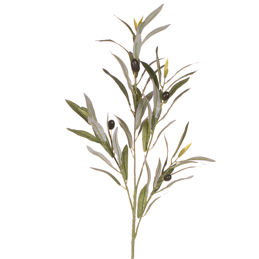 rama olivo decorativa