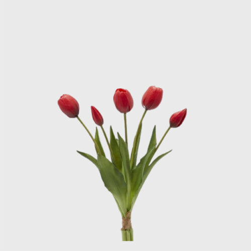 Ramo de tulipanes rojos
