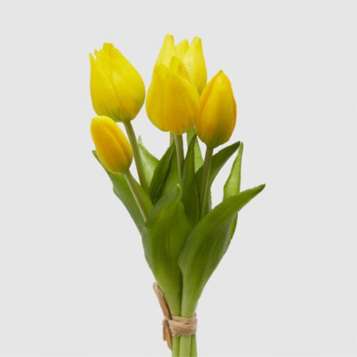 Mini tulipán amarillo H25