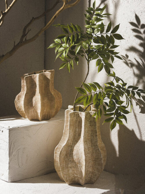 Rama Plinia H120 - Imagen 3