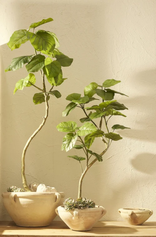 Ficus artificial Umbrellata H120 - Imagen 2