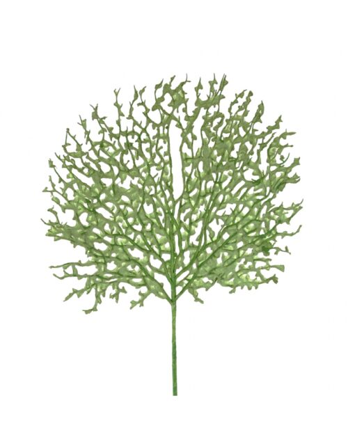 Hoja coral verde H60