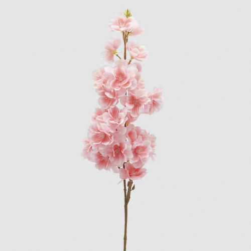 Ramo sakura