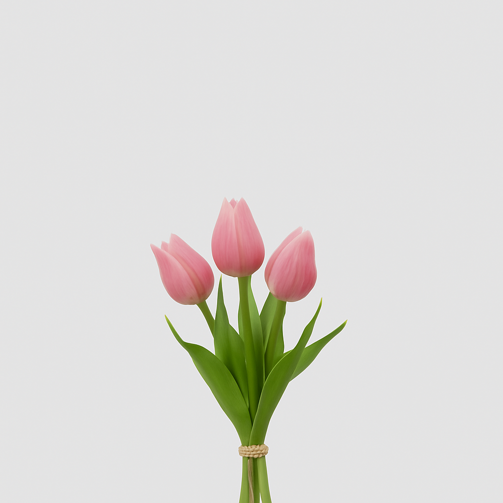 Mini tulipán malva H25