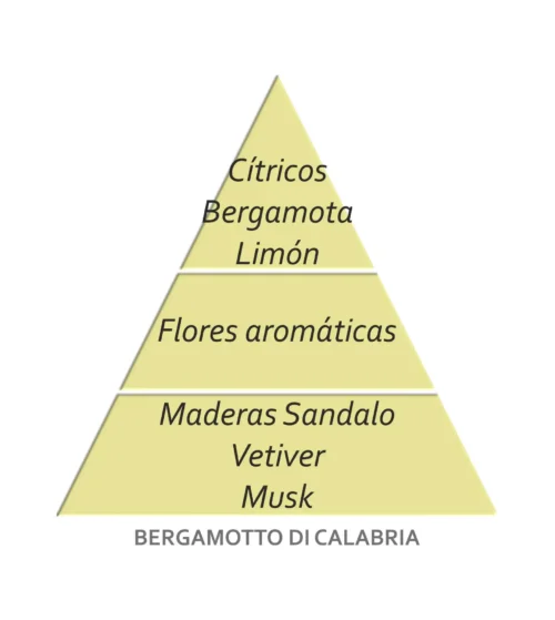 Vela Premium XL Bergamotto di Calbria 600gr - Imagen 5