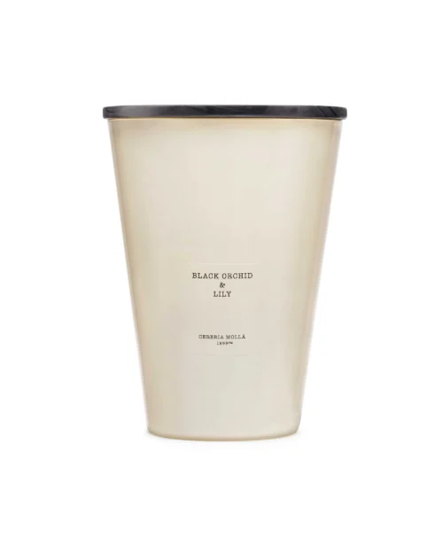 Vela Premium XXL Black Orchid & Lily 3.5kg