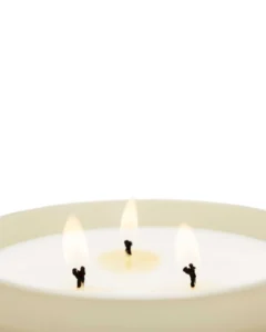 vela-black-orchid-lily-lacambradeco