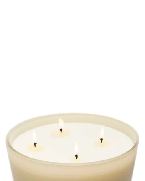 Vela Premium XXL Black Orchid & Lily 3.5kg - Imagen 3