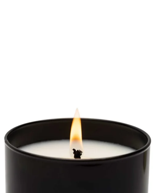 Vela Premium Amber & Sandalwood 230gr - Imagen 3