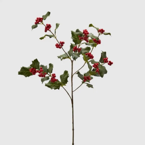 Rama de Acebo silvestre