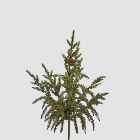 Rama Cryptomeria con Piñas