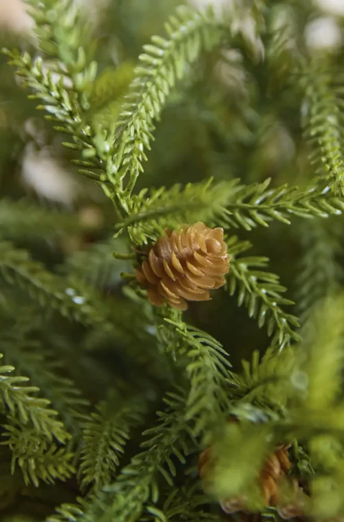 Rama Cryptomeria con Piñas - Imagen 3