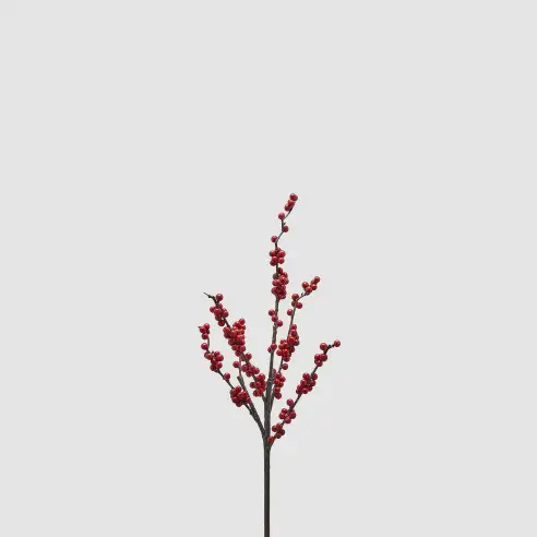 Rama ilex navideña
