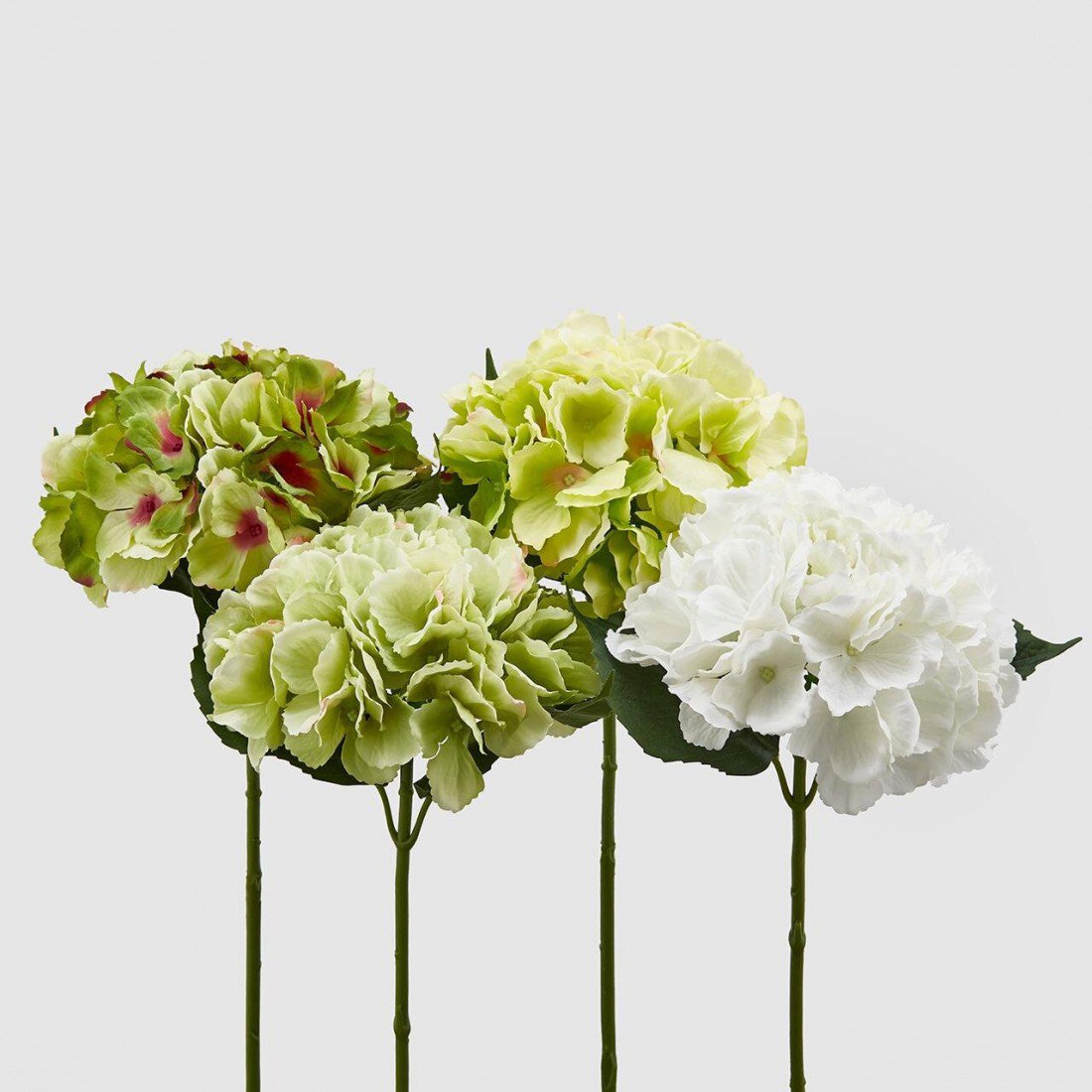 hortensia-artificial-verde-blanco