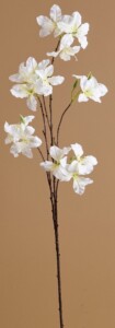 rama-bauhinia-artificial-blanca