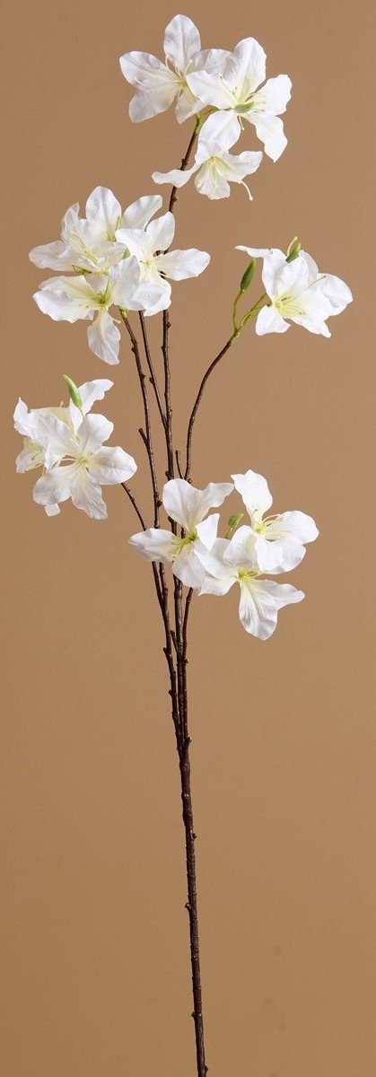 rama-bauhinia-artificial-blanca