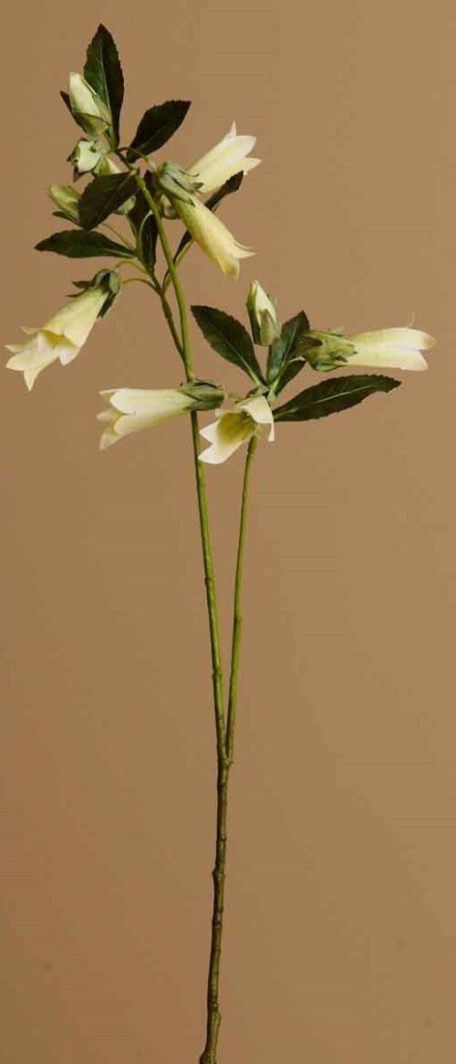 campanula-blanca-artificial