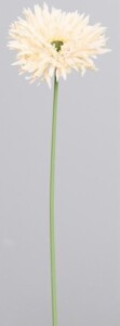 gerbera artificial crema