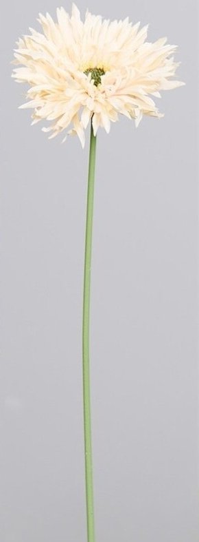 gerbera artificial crema