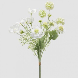 escabiosa mix blanca