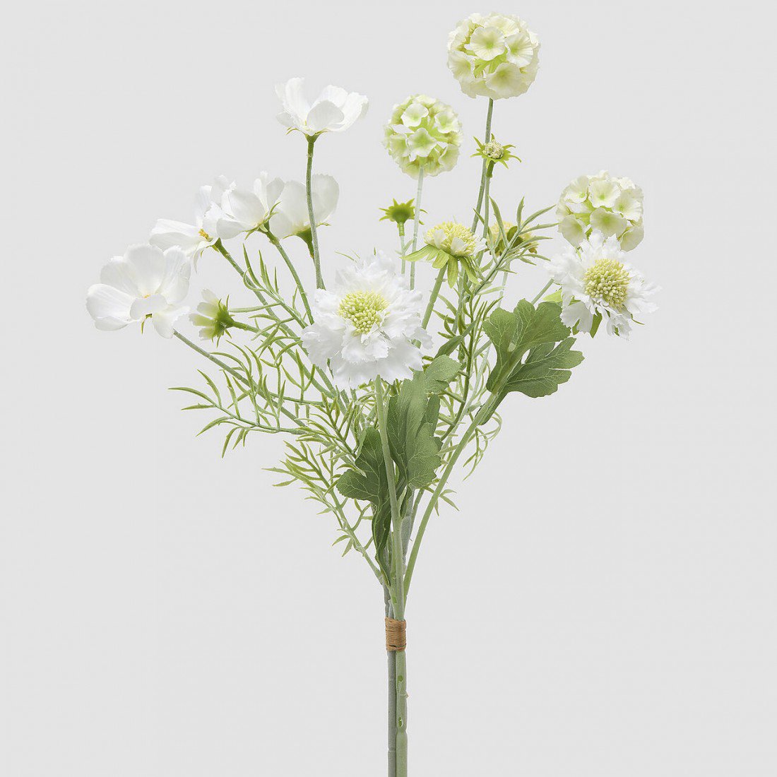 escabiosa mix blanca